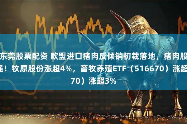 东莞股票配资 欧盟进口猪肉反倾销初裁落地，猪肉股走强！牧原股份涨超4%，畜牧养殖ETF（516670）涨超3%